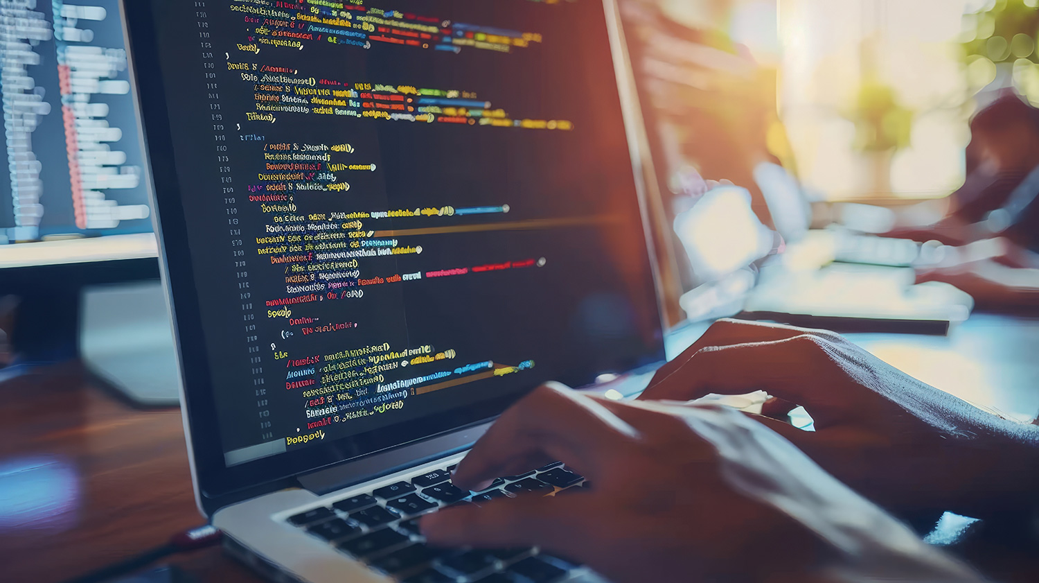 Software-Entwicklung